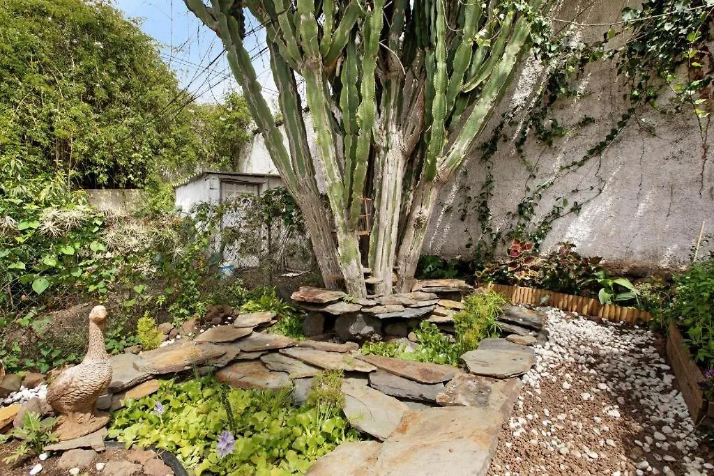 Casa Con Jardin Villa Tacoronte Holiday home